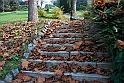 Parco Europa Autunno_049